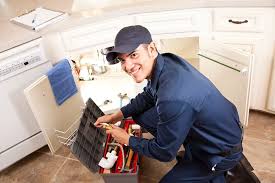 Best Commercial Plumbing Services  in Fall Creek, WI